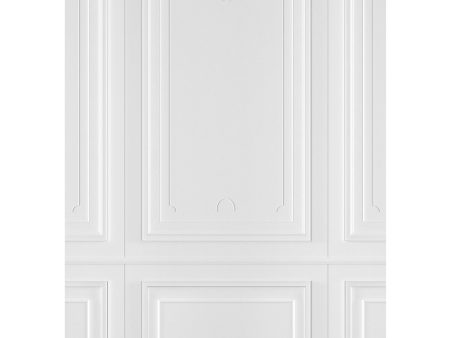 Westcott X-Drop Lightweight Canvas Backdrop - Classic Wall Molding (5  x 7 ) Supply