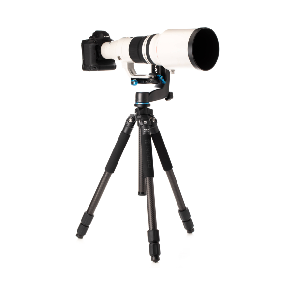 Benro CLT303 3-Series Induro Classic Carbon Fiber Tripod Online Sale