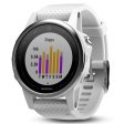 Garmin Fenix 5S Carrara White Band Regular Glass Hot on Sale