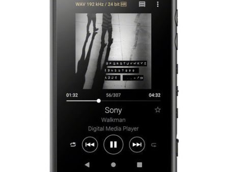 Sony Walkman NW-A105 - Digital player - Android 9.0 (Pie) - 16 GB on Sale